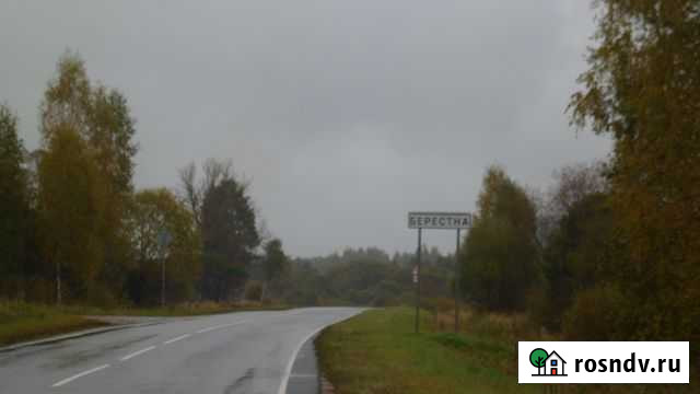 Дом 75.8 м² на участке 28 сот. на продажу в Хвастовичах Хвастовичи - изображение 1