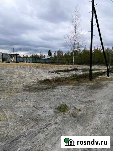 Участок СНТ, ДНП 12 сот. на продажу в Когалыме Когалым - изображение 1