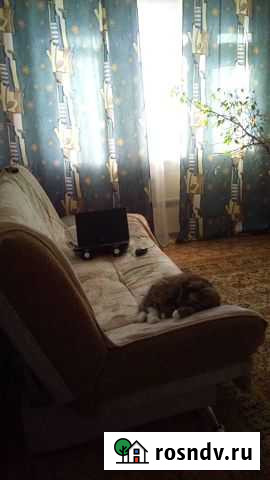 1-комнатная квартира, 30 м², 5/5 эт. на продажу в Дорогино Дорогино - изображение 1