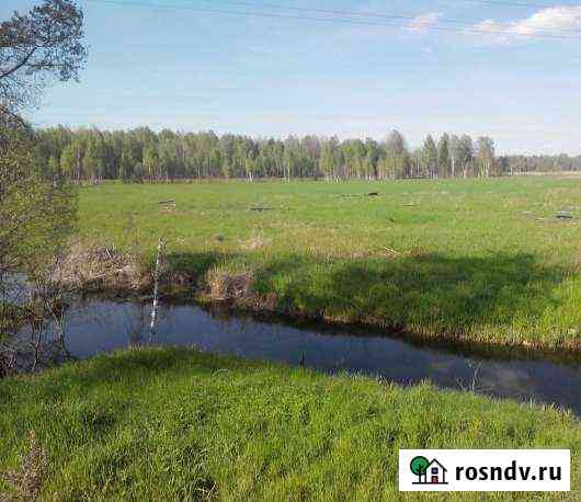 Участок СНТ, ДНП 100 сот. в аренду в Парфино Парфино