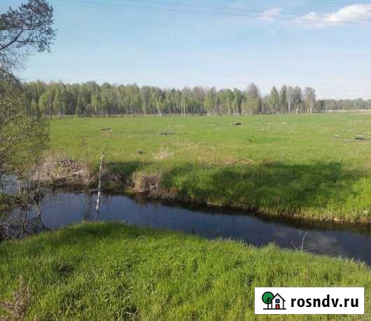 Участок СНТ, ДНП 100 сот. в аренду в Парфино Парфино - изображение 1