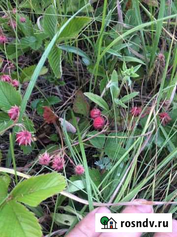 Участок ИЖС 10 сот. на продажу в Комсомольском Самарской области Комсомольский - изображение 1