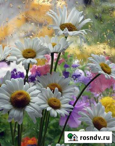 Участок ИЖС 14 сот. на продажу в Нефтеюганске Нефтеюганск - изображение 1