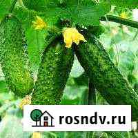 Дача 88.4 м² на участке 5.4 сот. на продажу в Лянторе Лянтор