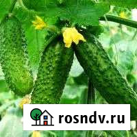 Дача 88.4 м² на участке 5.4 сот. на продажу в Лянторе Лянтор - изображение 1