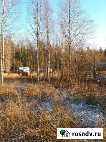 Участок СНТ, ДНП 10 сот. на продажу в Выборге Выборг - изображение 1