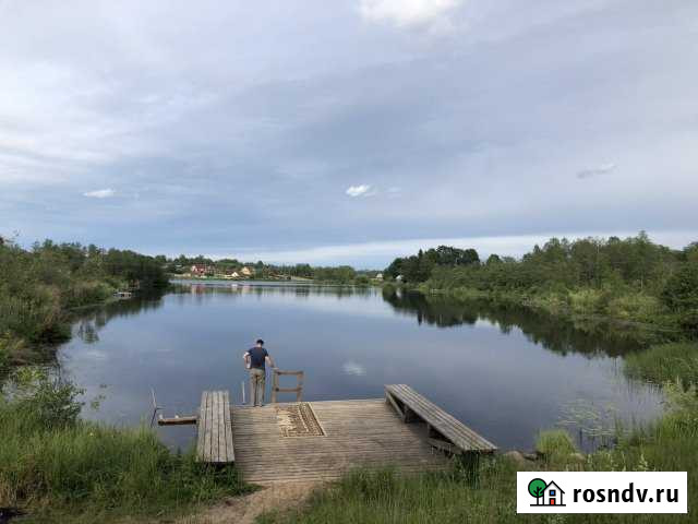 Участок СНТ, ДНП 30 сот. на продажу на Лугах Луга - изображение 1