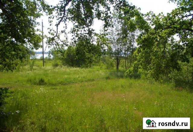 Участок СНТ, ДНП 6 сот. на продажу в Осташкове Осташков - изображение 1