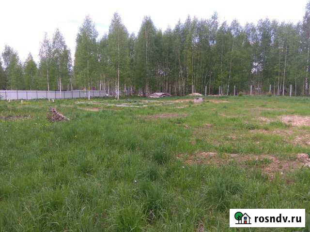 Участок СНТ, ДНП 20 сот. на продажу в Гавриловом-Яме Гаврилов-Ям - изображение 1