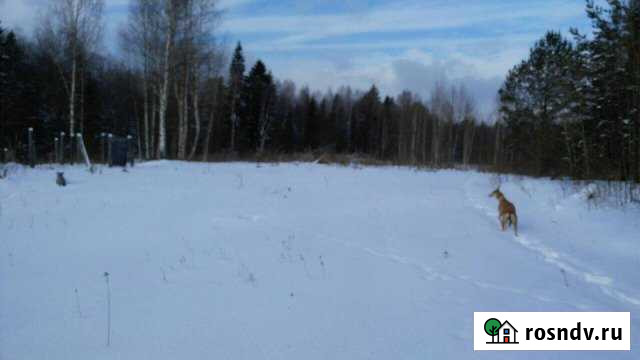 Участок СНТ, ДНП 140 сот. на продажу в Тосно Тосно - изображение 1