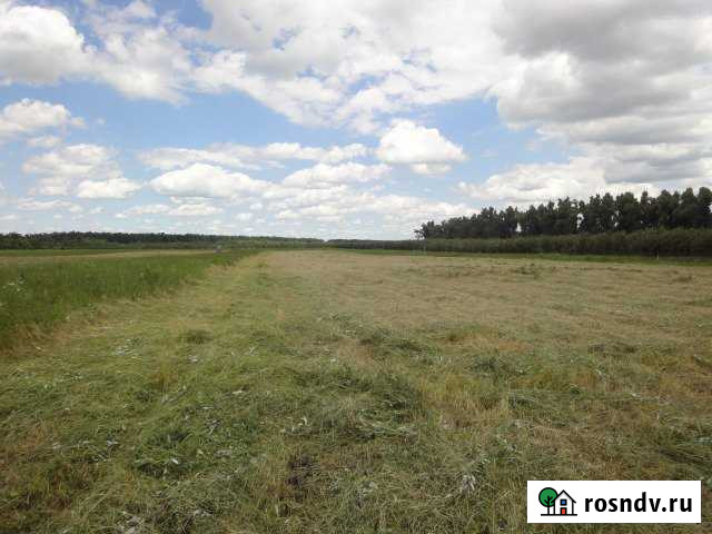 Участок СНТ, ДНП 163 сот. на продажу в Агрономе Агроном - изображение 1