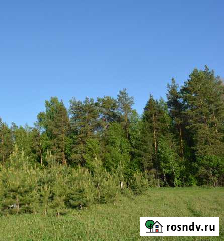 Участок ИЖС 15 сот. на продажу в Чистополе Чистополь - изображение 1