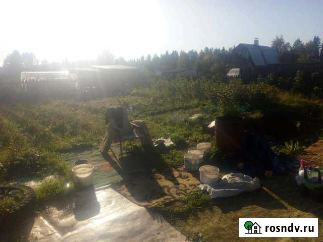 Дача 20 м² на участке 10 сот. на продажу в Печоре Печора - изображение 1