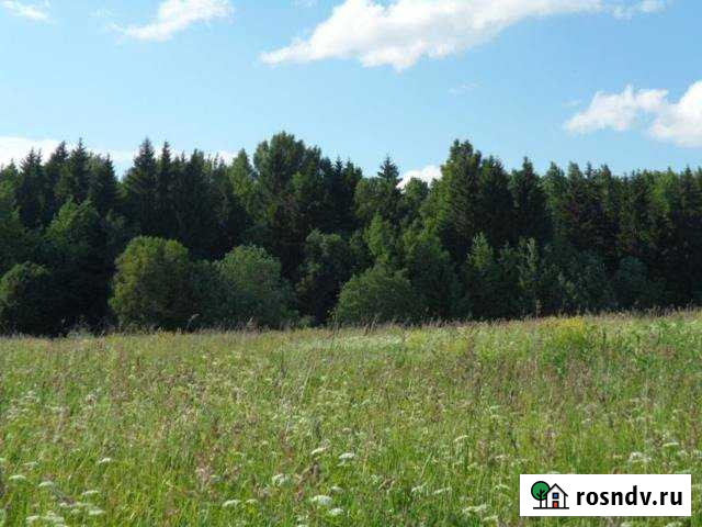 Участок СНТ, ДНП 8 сот. на продажу в Тайцах Тайцы - изображение 1