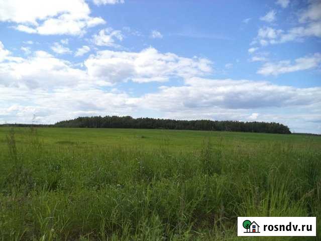 Участок СНТ, ДНП 250 сот. на продажу в Оболенске Оболенск - изображение 1