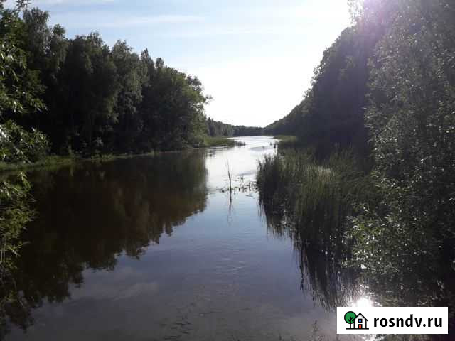 Участок СНТ, ДНП 3 сот. на продажу в Васильево Васильево - изображение 1