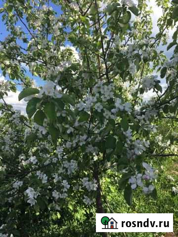 Дом 119 м² на участке 34 сот. на продажу в Гусино Гусино - изображение 1