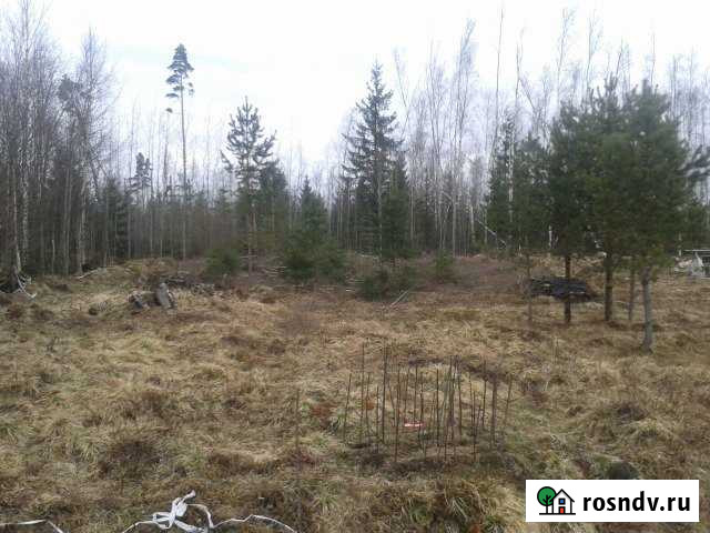 Участок СНТ, ДНП 12 сот. на продажу в Токсово Токсово - изображение 1