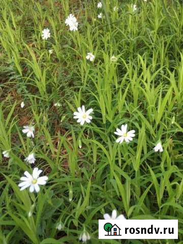 Участок ИЖС 10 сот. на продажу в Соликамске Соликамск - изображение 1