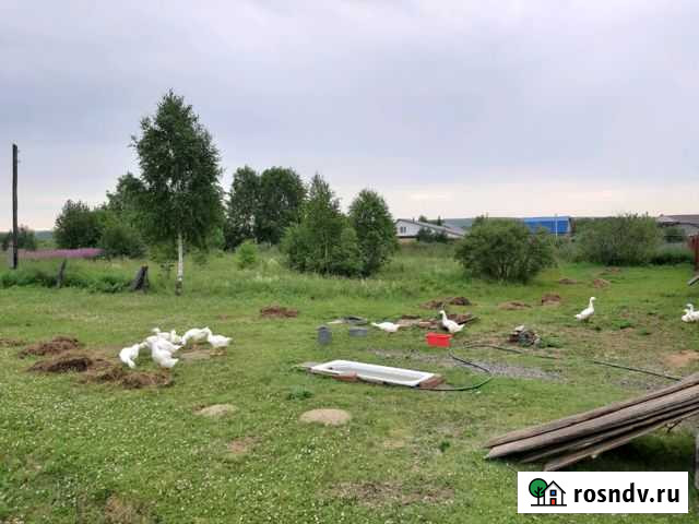 Участок ИЖС 35 сот. на продажу в Николо-Павловском Николо-Павловское - изображение 1