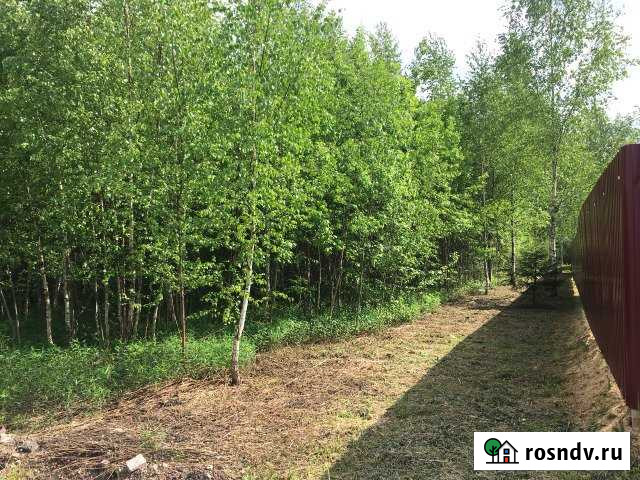 Участок СНТ, ДНП 24 сот. на продажу в Карабаново Карабаново - изображение 1