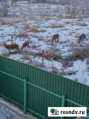 Дом 185 м² на участке 30 сот. на продажу в Жукове Жуков - изображение 1