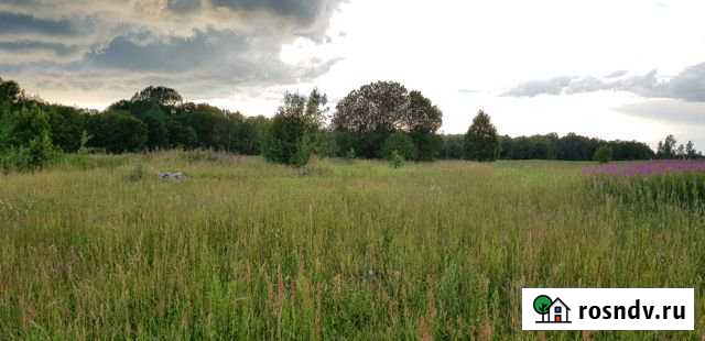 Участок ИЖС 17 сот. на продажу на Лугах Луга - изображение 1