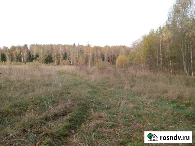 Участок ИЖС 80 сот. на продажу в Вербилках Вербилки - изображение 1