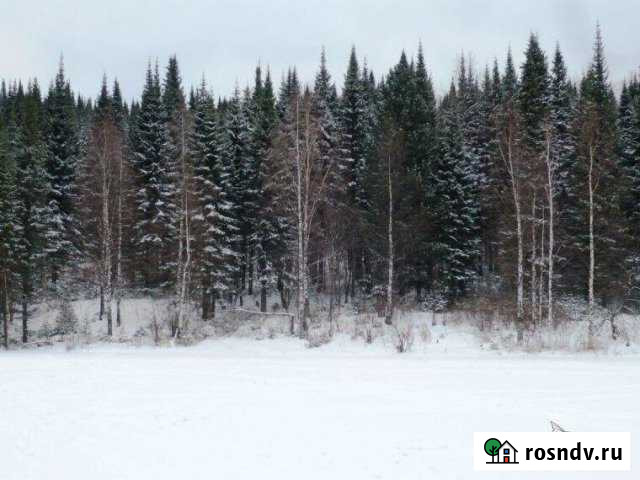 2-комнатная квартира, 43 м², 2/3 эт. на продажу в Березовском Свердловской области Березовский - изображение 1