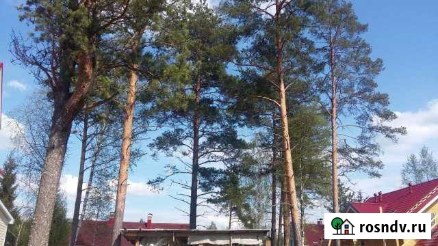 Дача 160 м² на участке 10 сот. на продажу в Сосново Сосново - изображение 1