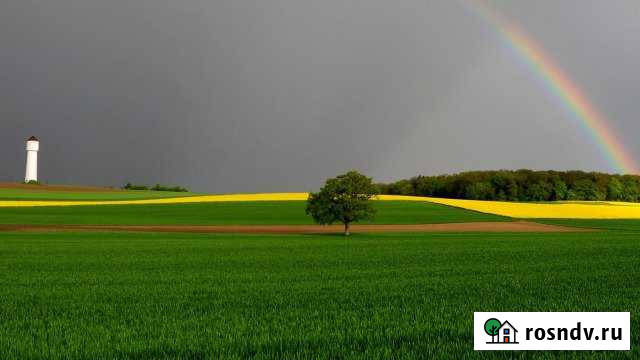 Участок СНТ, ДНП 35 сот. на продажу в Елабуге Елабуга - изображение 1