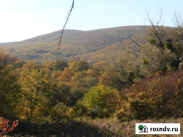 Участок СНТ, ДНП 200 сот. на продажу в Ильском Ильский - изображение 1