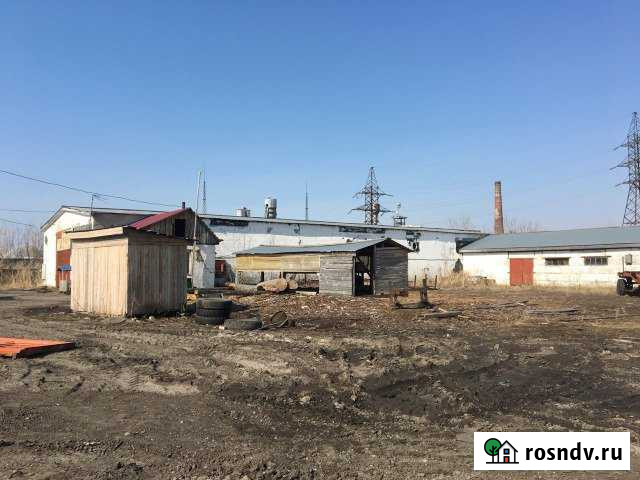 Подсобное хозяйство Черемное - изображение 1