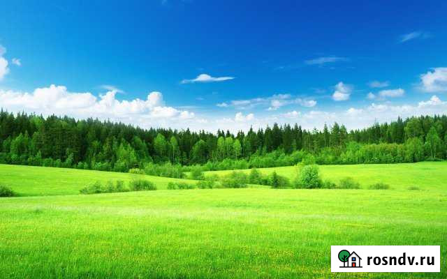 Участок СНТ, ДНП 1380 сот. на продажу в Новоржеве Новоржев - изображение 1