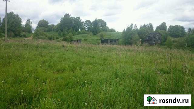 Участок ИЖС 37 сот. на продажу в Будогощи Будогощь - изображение 1