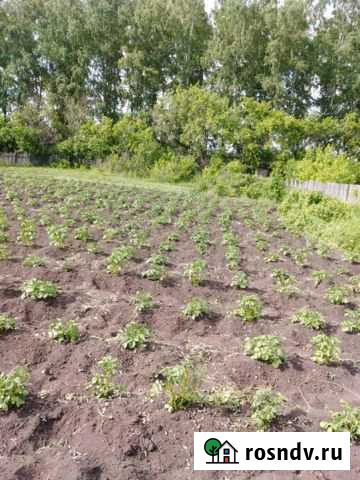 Участок СНТ, ДНП 9 сот. на продажу в Ачинске Ачинск - изображение 1