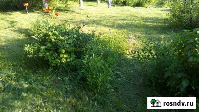 Участок СНТ, ДНП 5 сот. на продажу в Пестрецах Пестрецы - изображение 1