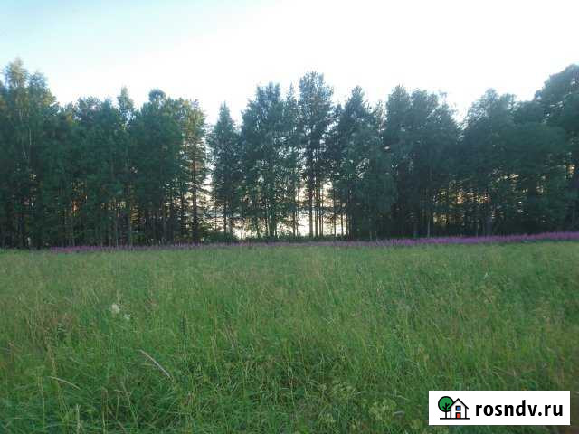 Участок СНТ, ДНП 15 сот. на продажу в Пряже Пряжа - изображение 1