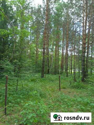 Участок ИЖС 10 сот. на продажу в Дегтярске Дегтярск - изображение 1