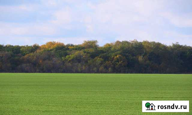 Участок СНТ, ДНП 2500 сот. на продажу в Панино Панино - изображение 1