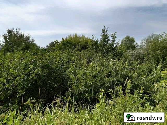 Дом 68 м² на участке 32 сот. на продажу в Ревякино Ревякино - изображение 1