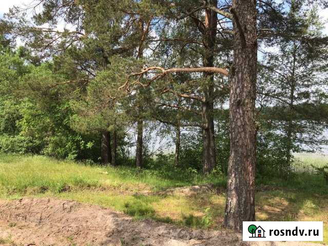 Участок СНТ, ДНП 120 сот. на продажу в Середке Середка - изображение 1