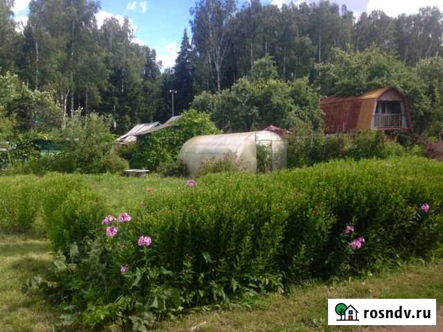 Участок СНТ, ДНП 3 сот. на продажу в Людиново Людиново - изображение 1