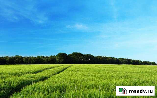 Участок ИЖС 22 сот. на продажу в Ирбите Ирбит - изображение 1