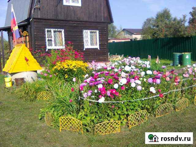 Дача 80 м² на участке 10 сот. на продажу в Новопетровском Новопетровское - изображение 1