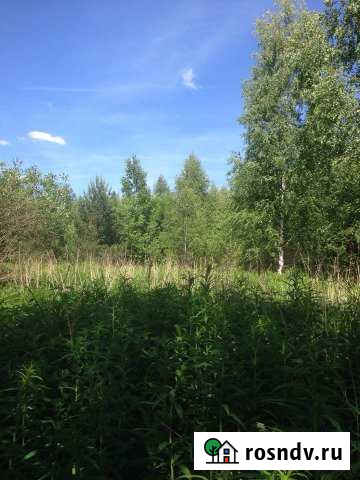 Участок СНТ, ДНП 12 сот. на продажу в Дубне Московской области Дубна - изображение 1