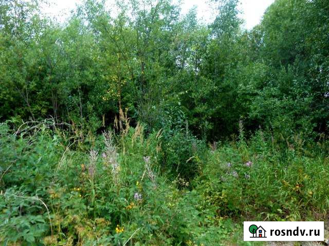 Участок СНТ, ДНП 6 сот. на продажу в Электрогорске Электрогорск - изображение 1