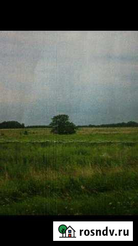 Участок СНТ, ДНП 670 сот. на продажу в Мамоново Мамоново - изображение 1