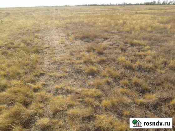 Участок СНТ, ДНП 2940 сот. на продажу в Палласовке Палласовка