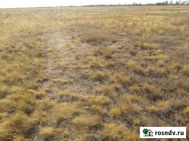 Участок СНТ, ДНП 2940 сот. на продажу в Палласовке Палласовка - изображение 1